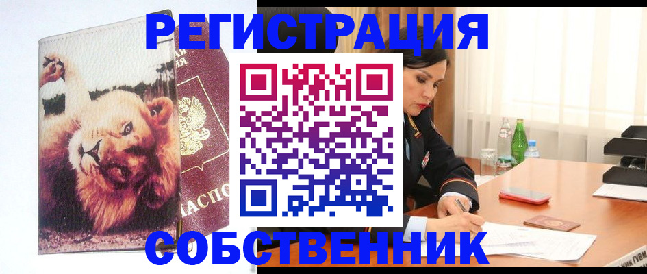 прописка от собственника в Норильске
